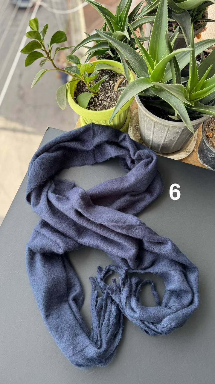 photo_30_2025-10-01_08-20-15