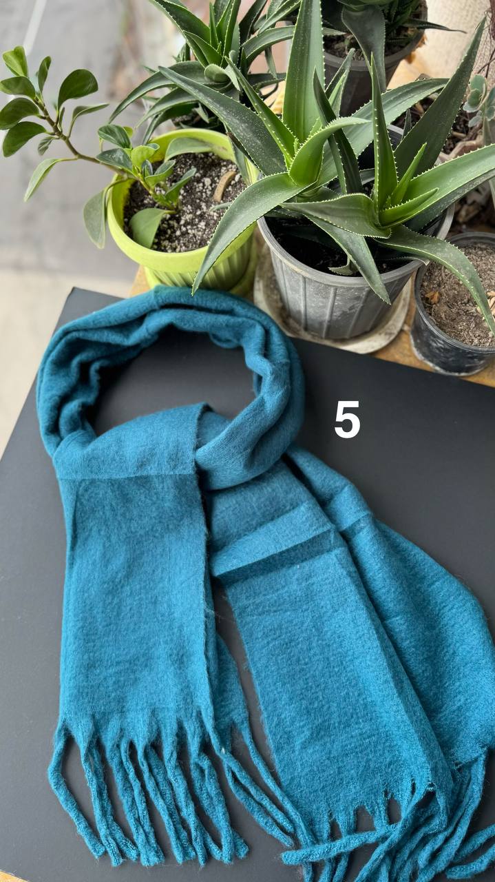 photo_31_2025-10-01_08-20-15