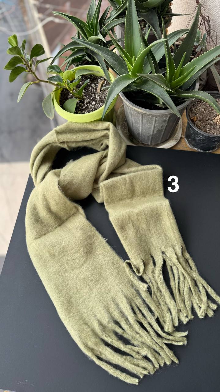 photo_33_2025-10-01_08-20-15