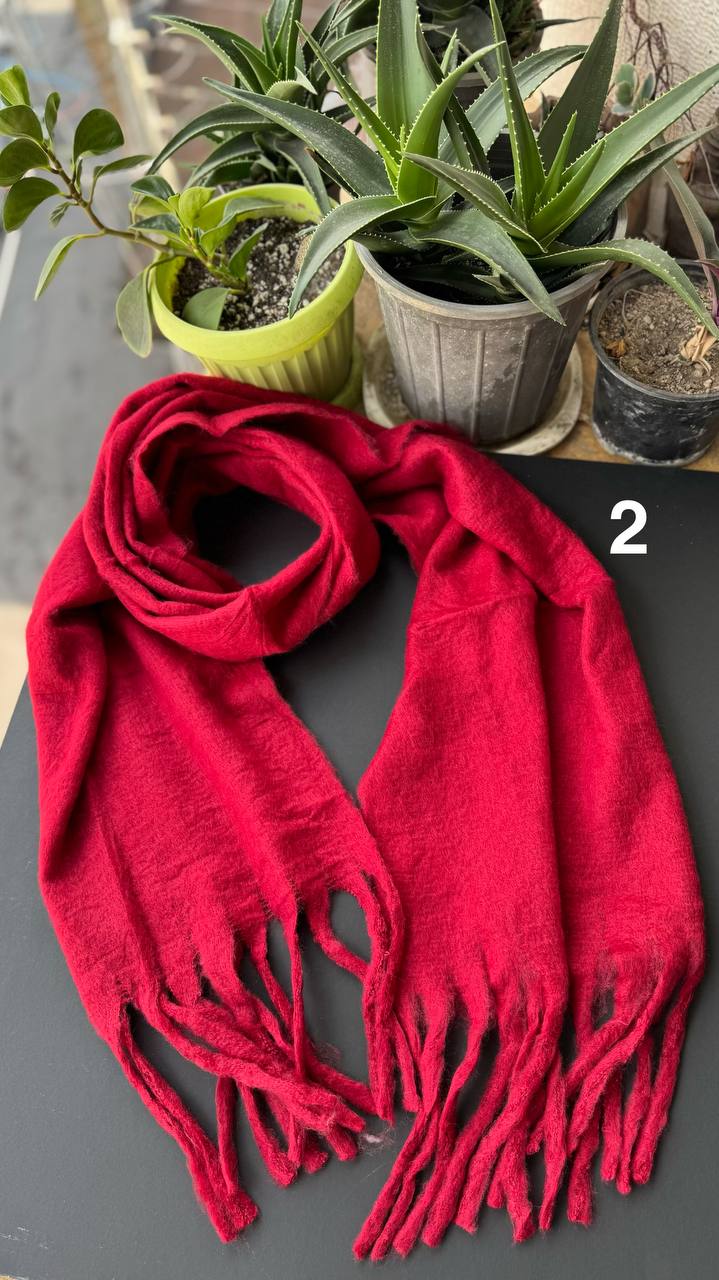 photo_34_2025-10-01_08-20-15