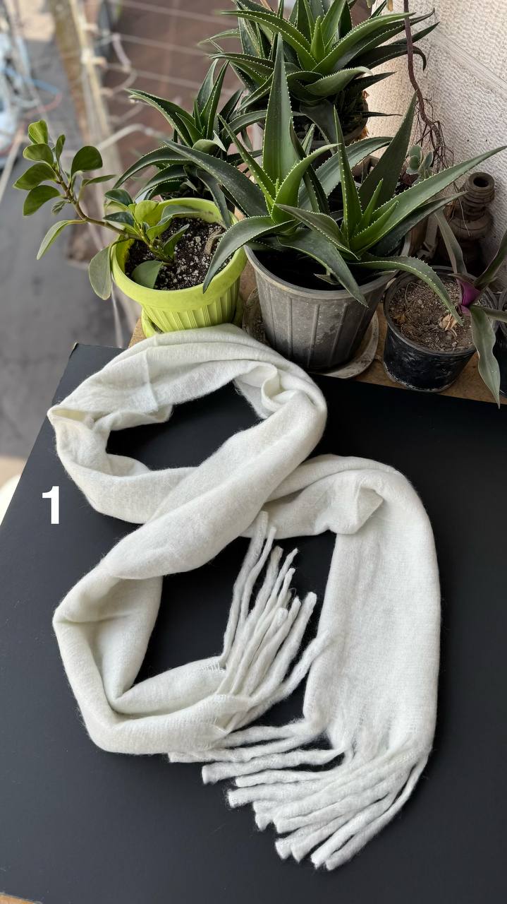 photo_35_2025-10-01_08-20-15