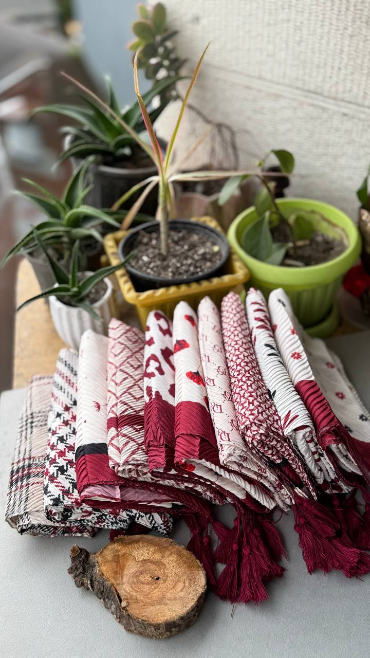 photo_3_2024-10-24_05-14-03