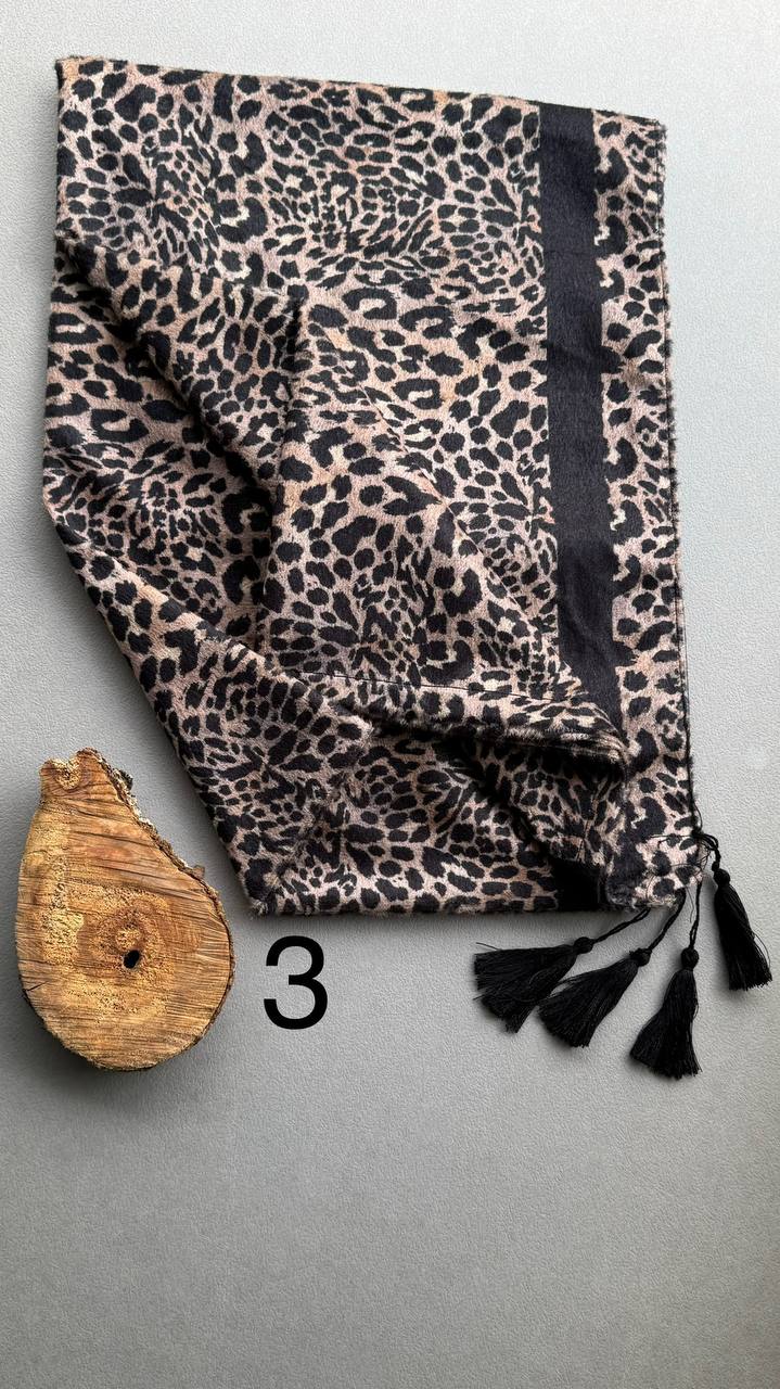 photo_3_2024-10-29_14-14-22