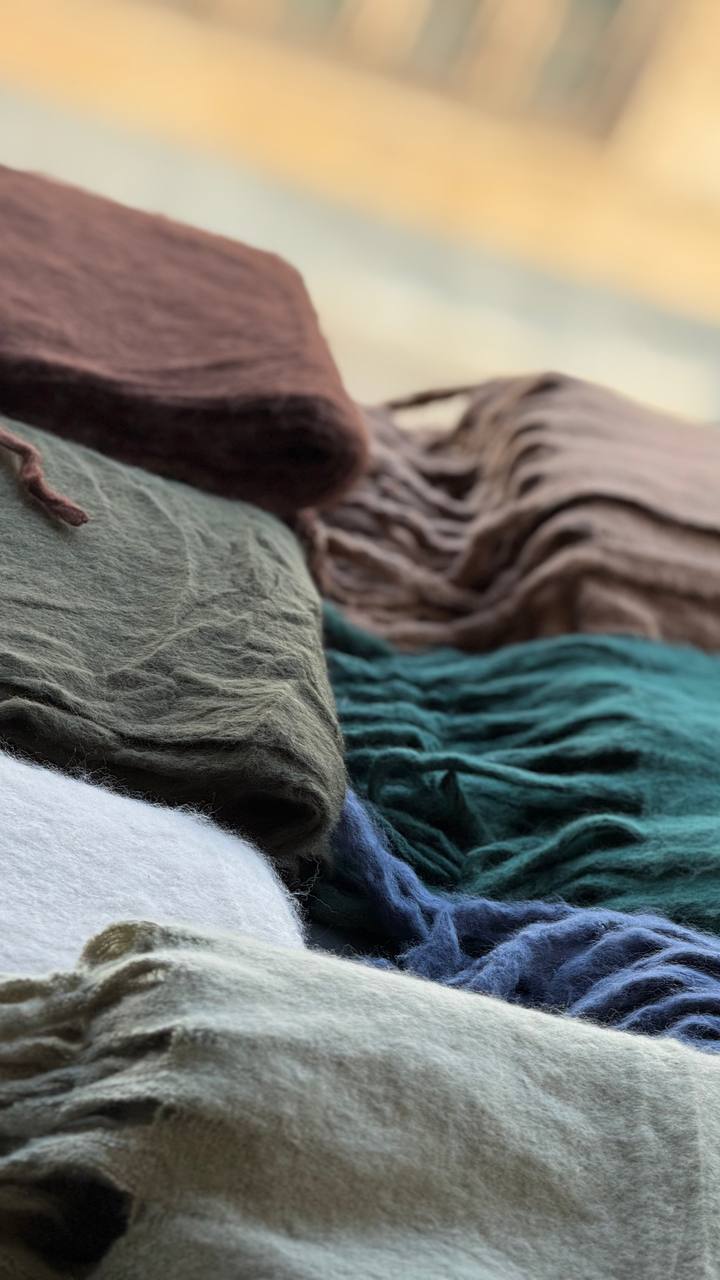 photo_4_2025-10-08_20-07-42