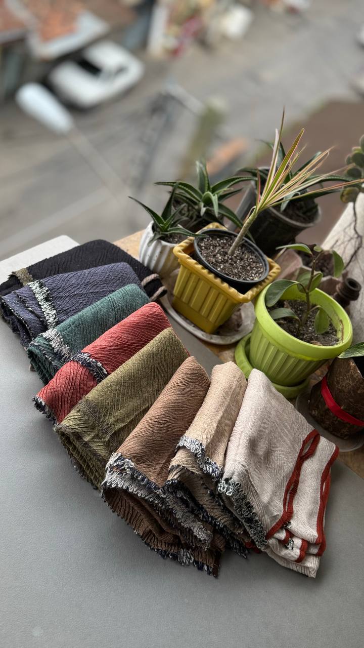 photo_5_2024-10-16_13-10-14