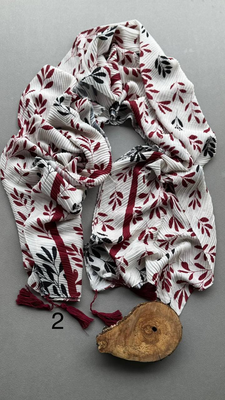 photo_5_2024-10-24_05-23-27