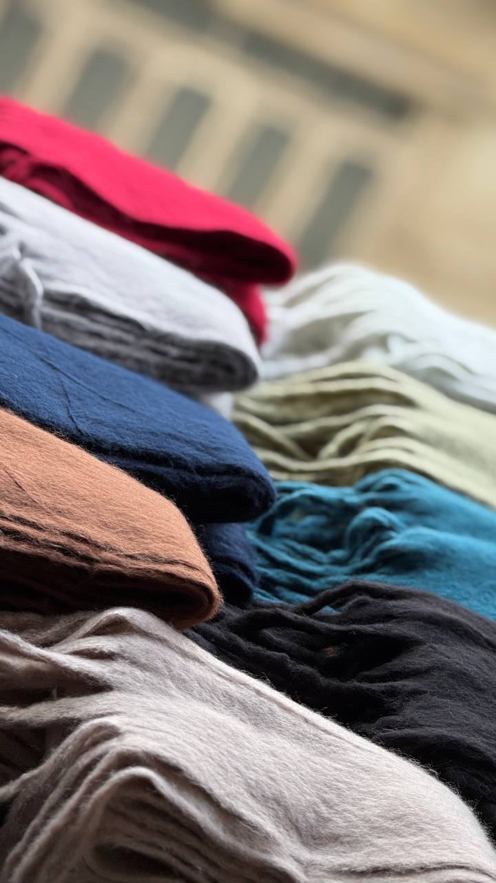 photo_5_2025-10-01_08-20-15