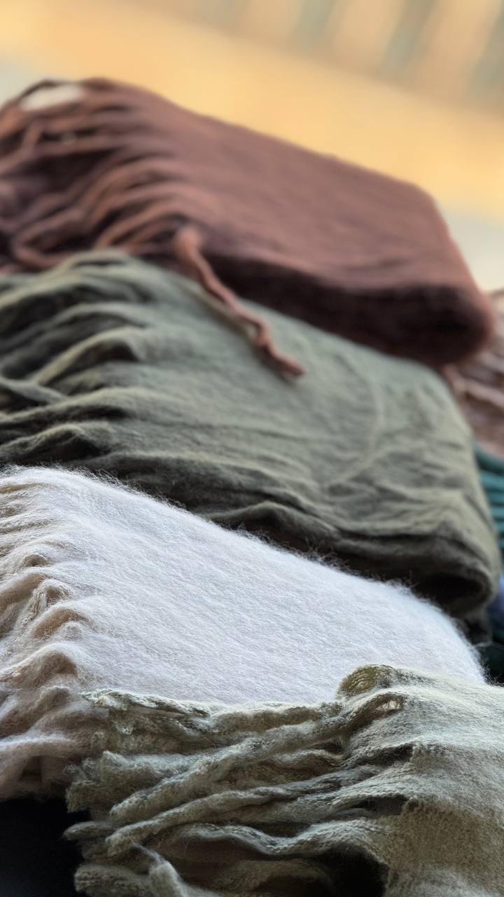 photo_5_2025-10-08_20-07-42