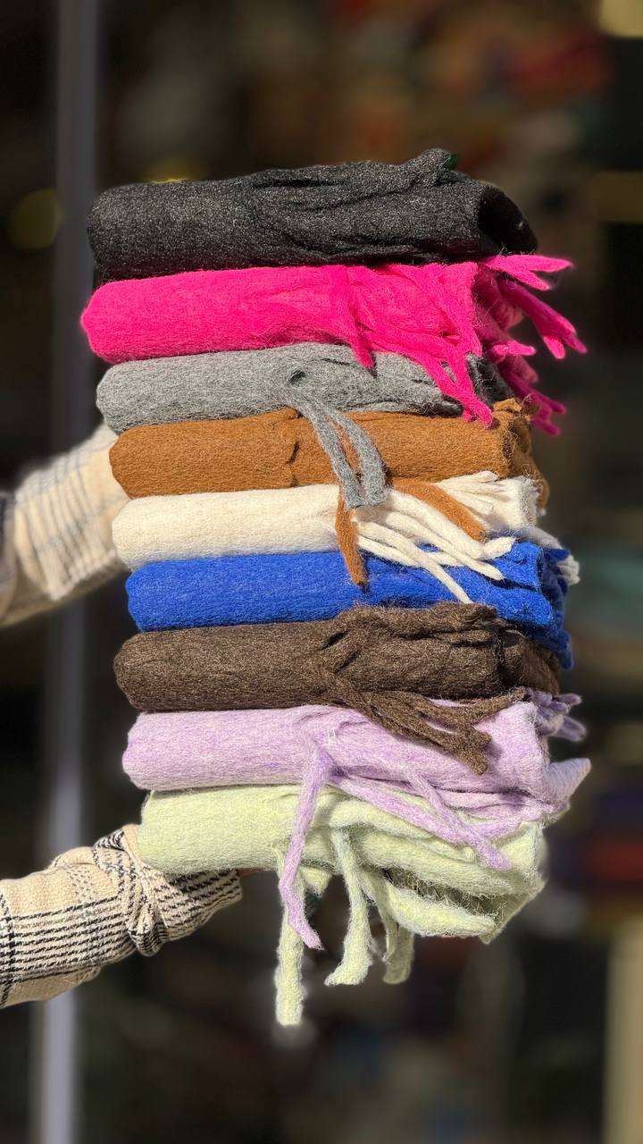 photo_6_2024-10-29_13-37-21