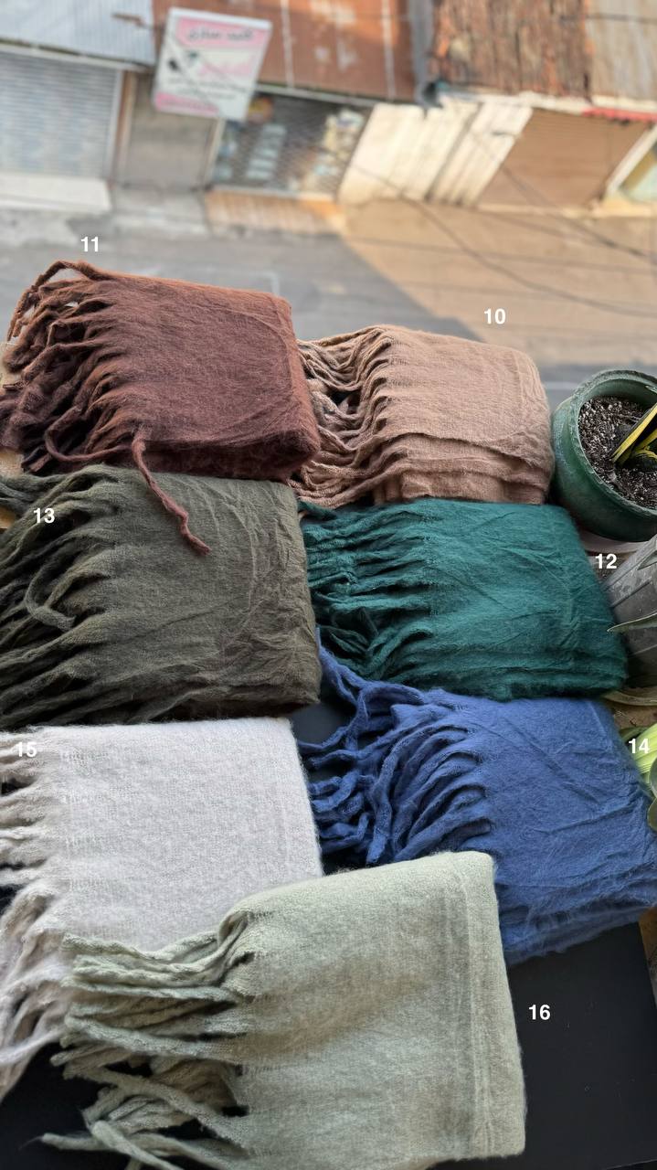 photo_6_2025-10-08_20-07-42