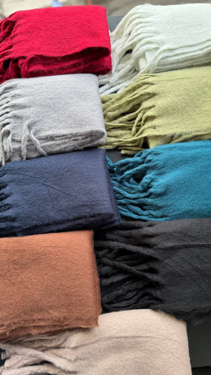 photo_7_2025-10-01_08-20-15