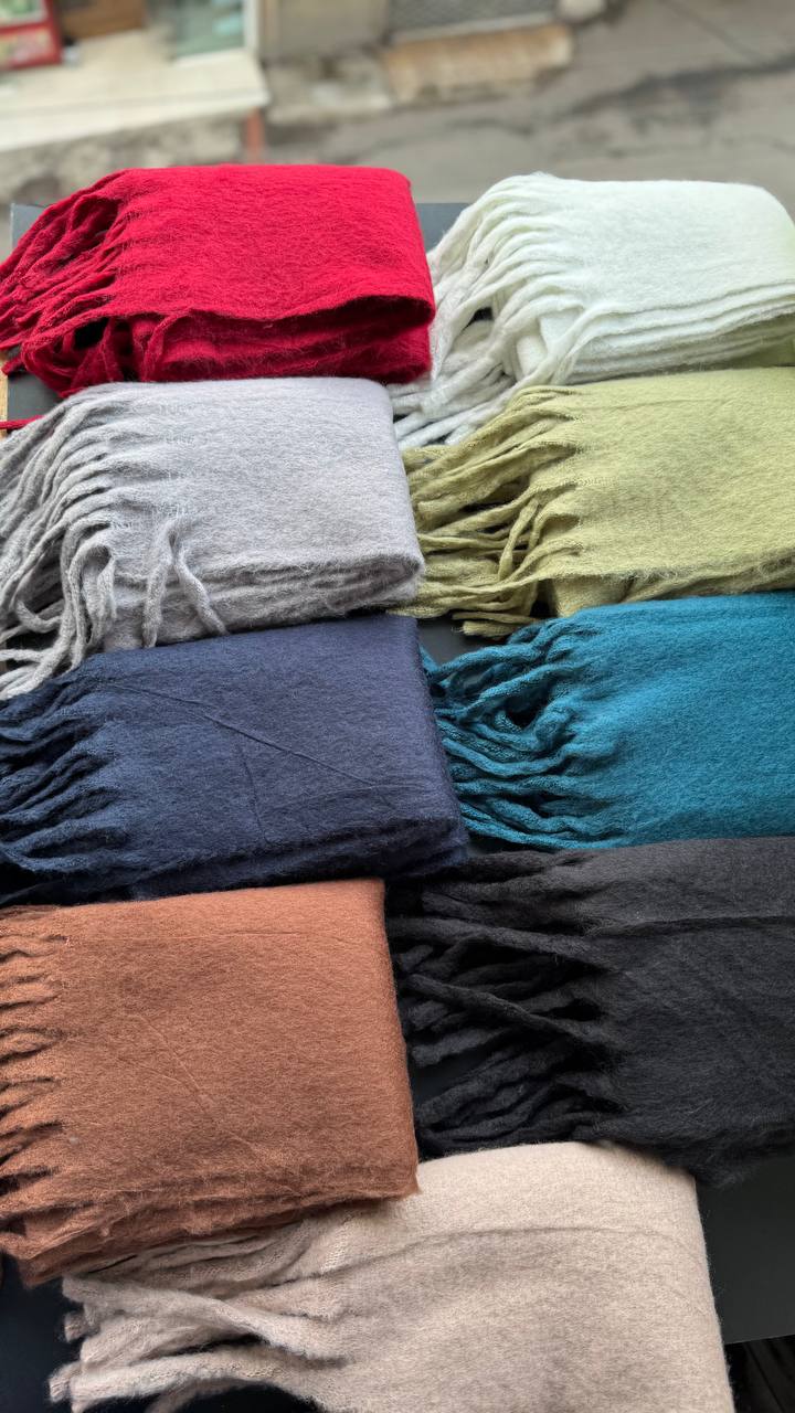 photo_8_2025-10-01_08-20-15