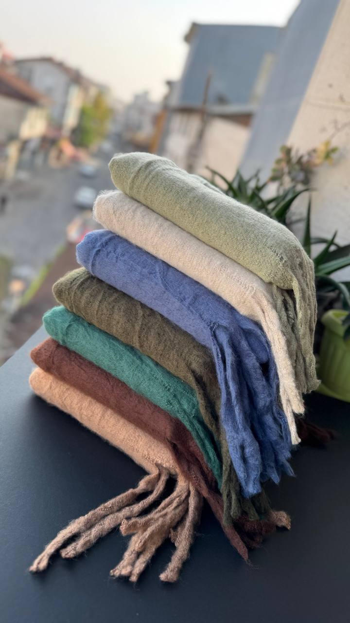 photo_8_2025-10-08_20-07-42