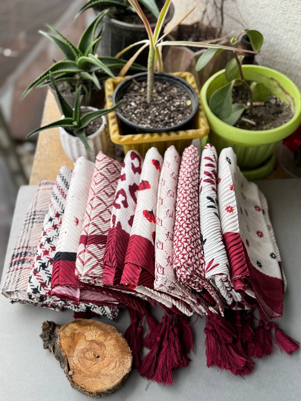 photo_9_2024-10-24_05-14-03