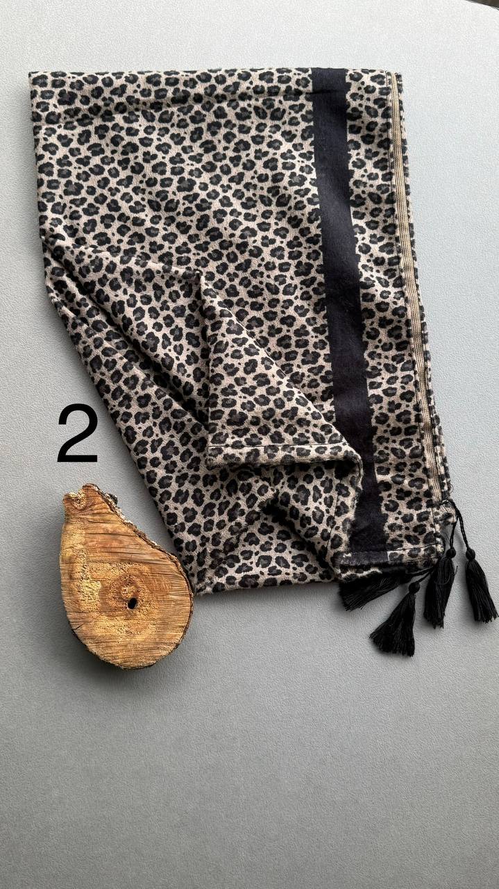 photo_9_2024-10-29_14-14-22