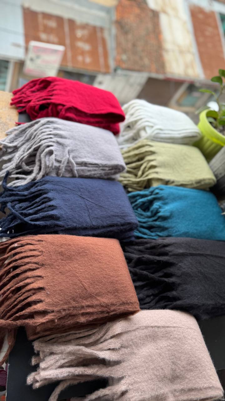 photo_9_2025-10-01_08-20-15