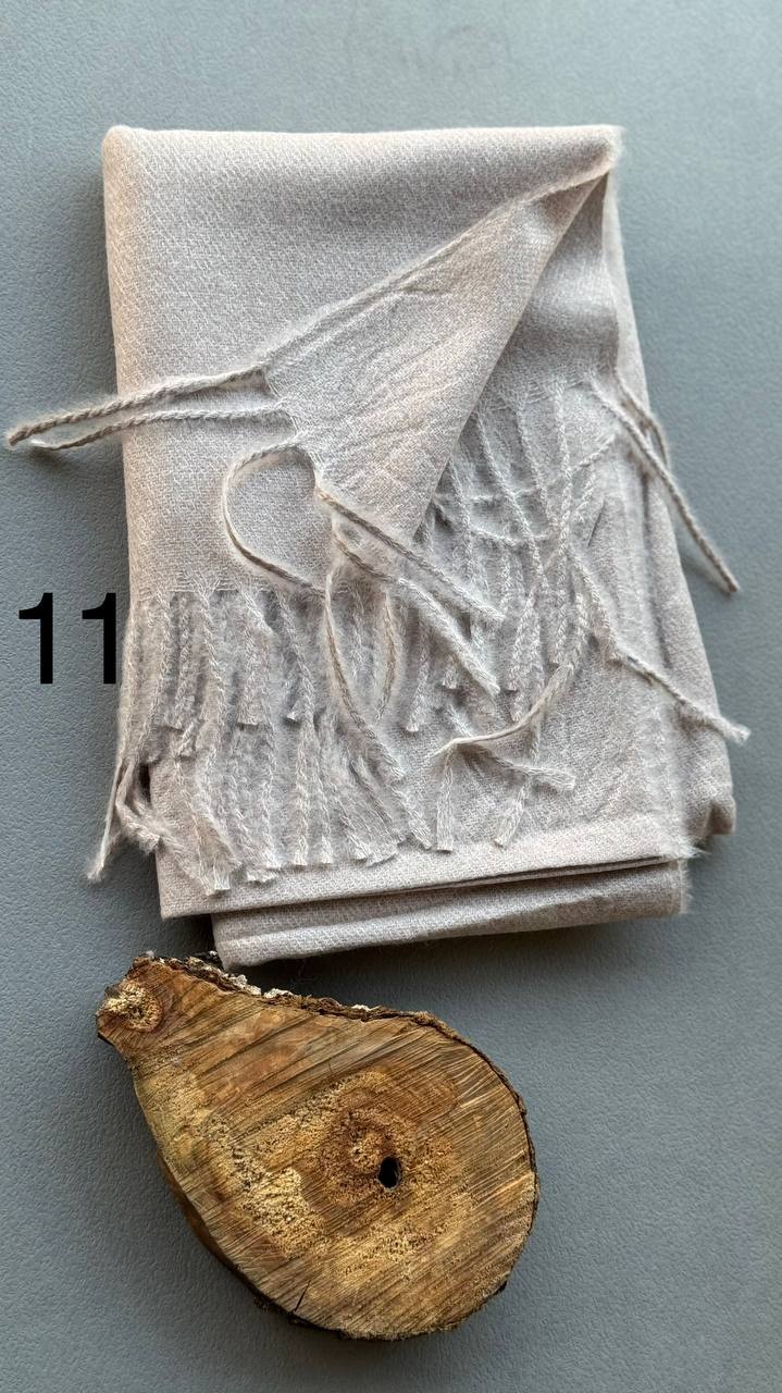 photo_10_2024-11-24_11-23-54