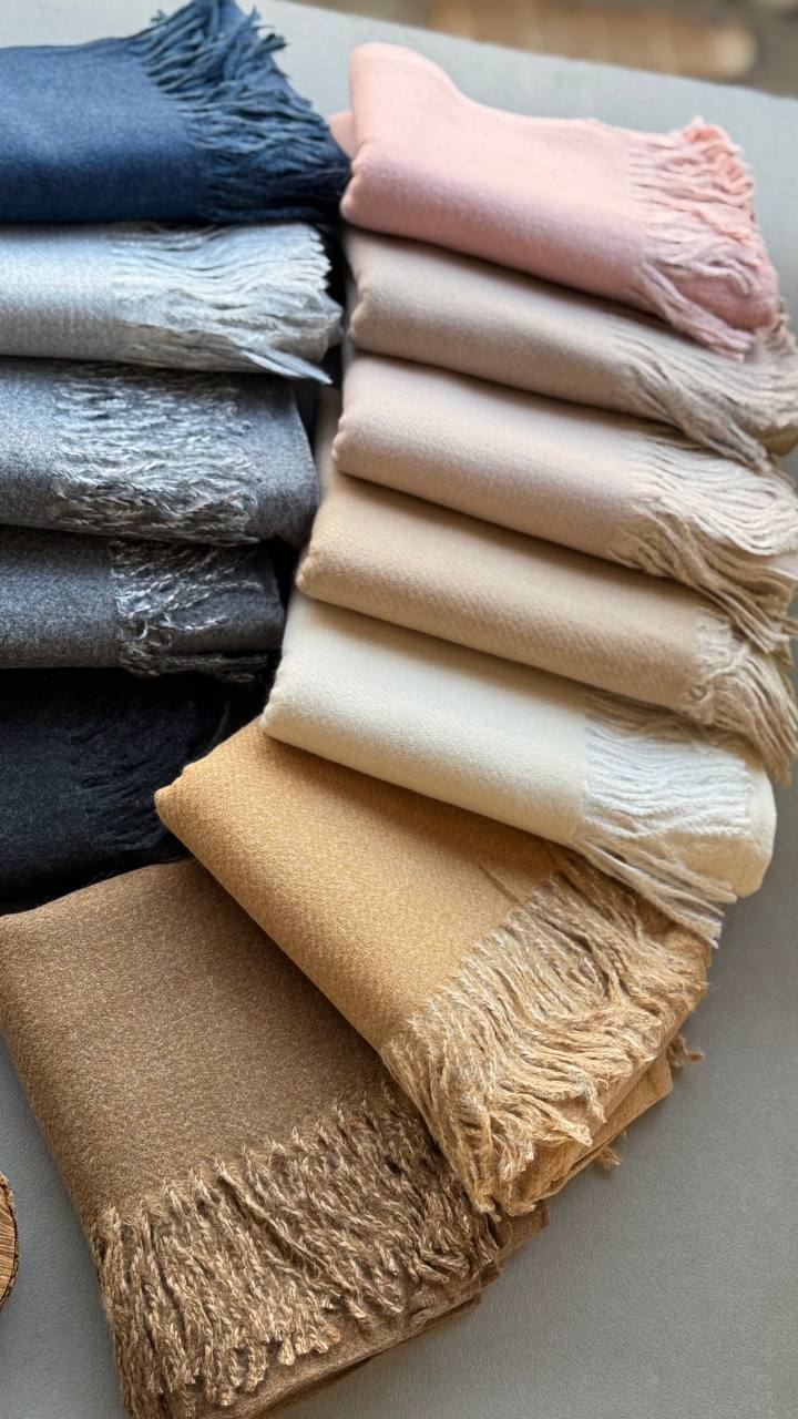 photo_10_2024-11-24_12-15-33