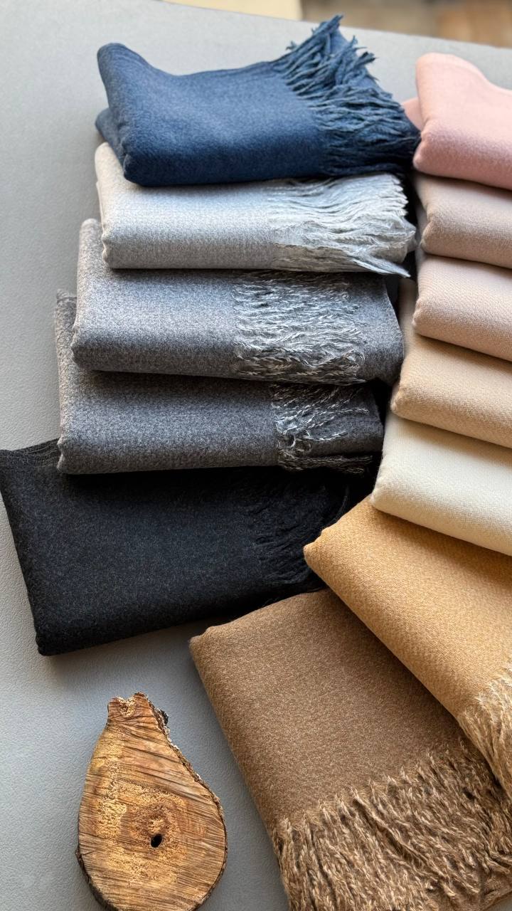 photo_11_2024-11-24_12-15-33