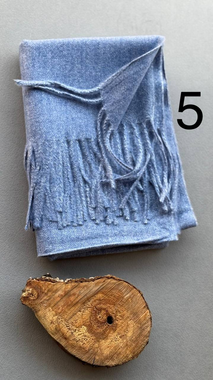 photo_12_2024-11-24_11-23-54