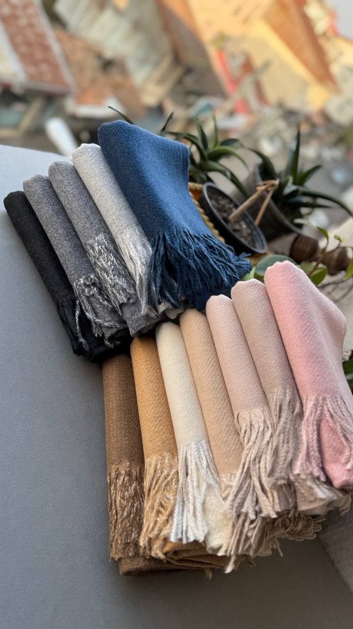 photo_12_2024-11-24_12-15-33