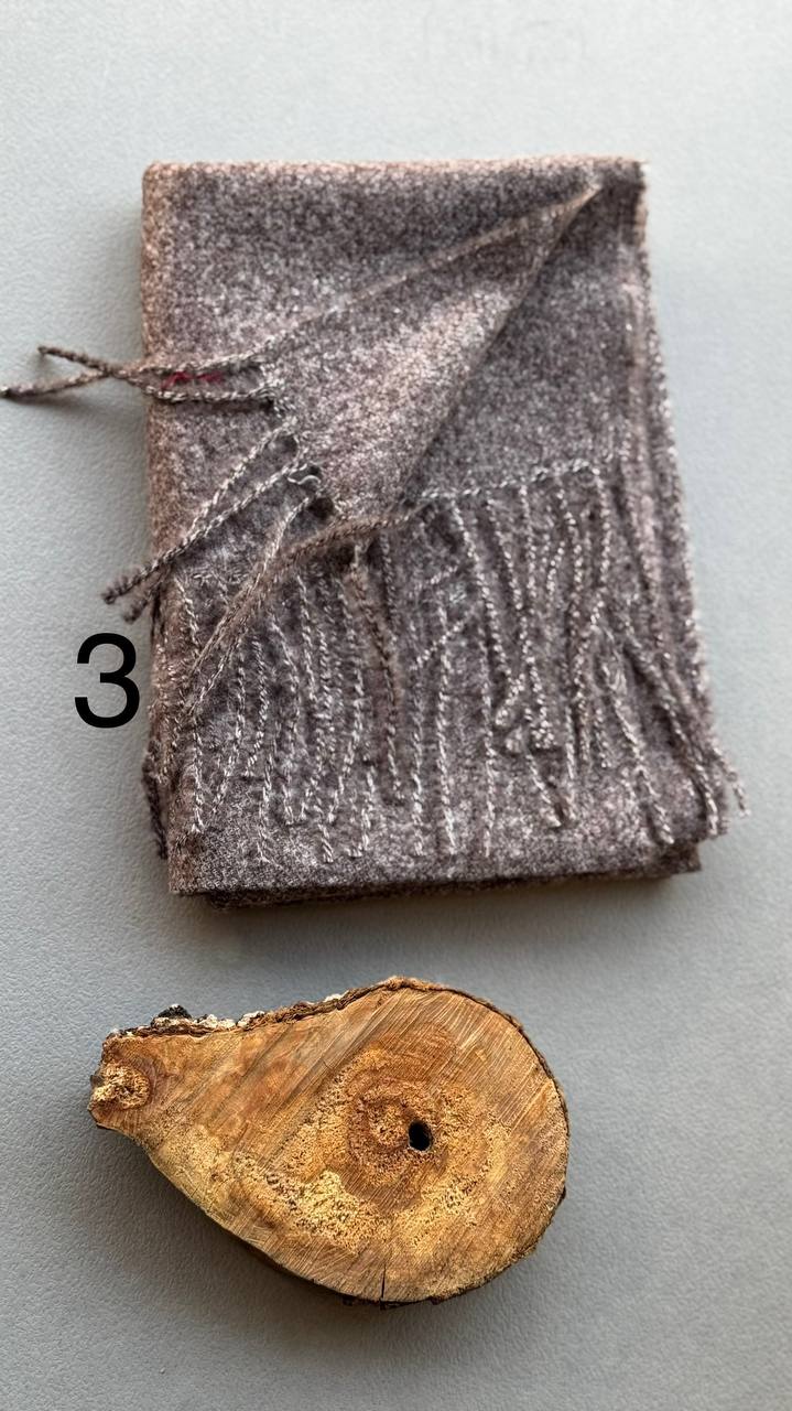 photo_13_2024-11-24_11-23-54