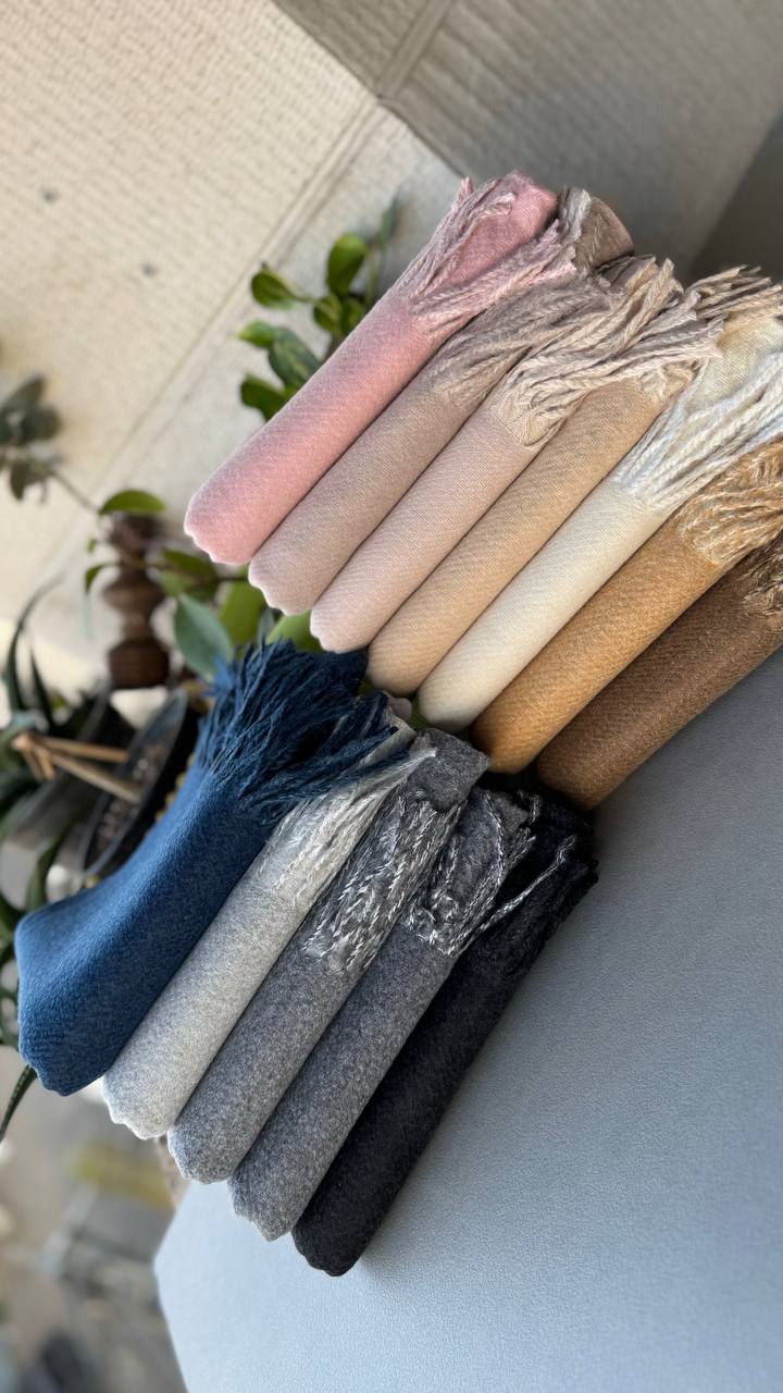 photo_13_2024-11-24_12-15-33