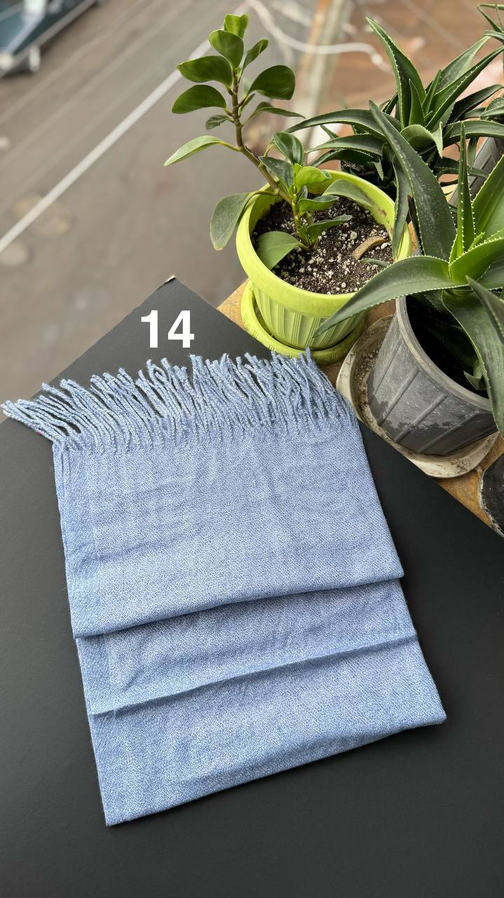 photo_13_2025-09-28_18-01-12