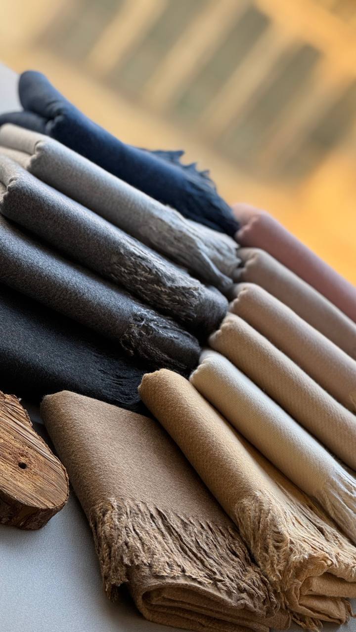 photo_14_2024-11-24_12-15-33