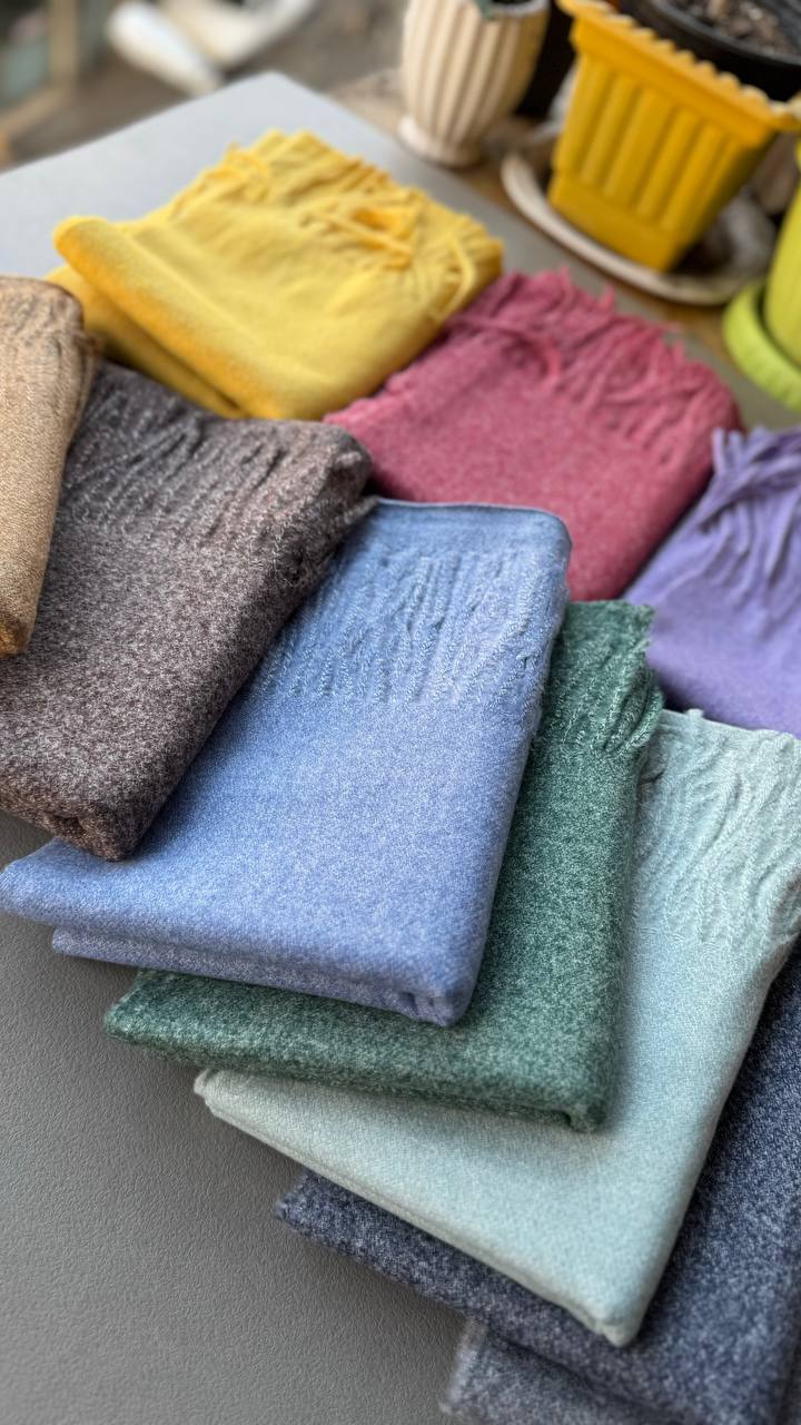 photo_15_2024-11-24_11-23-54