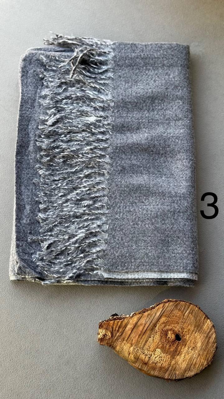 photo_15_2024-11-24_12-15-33