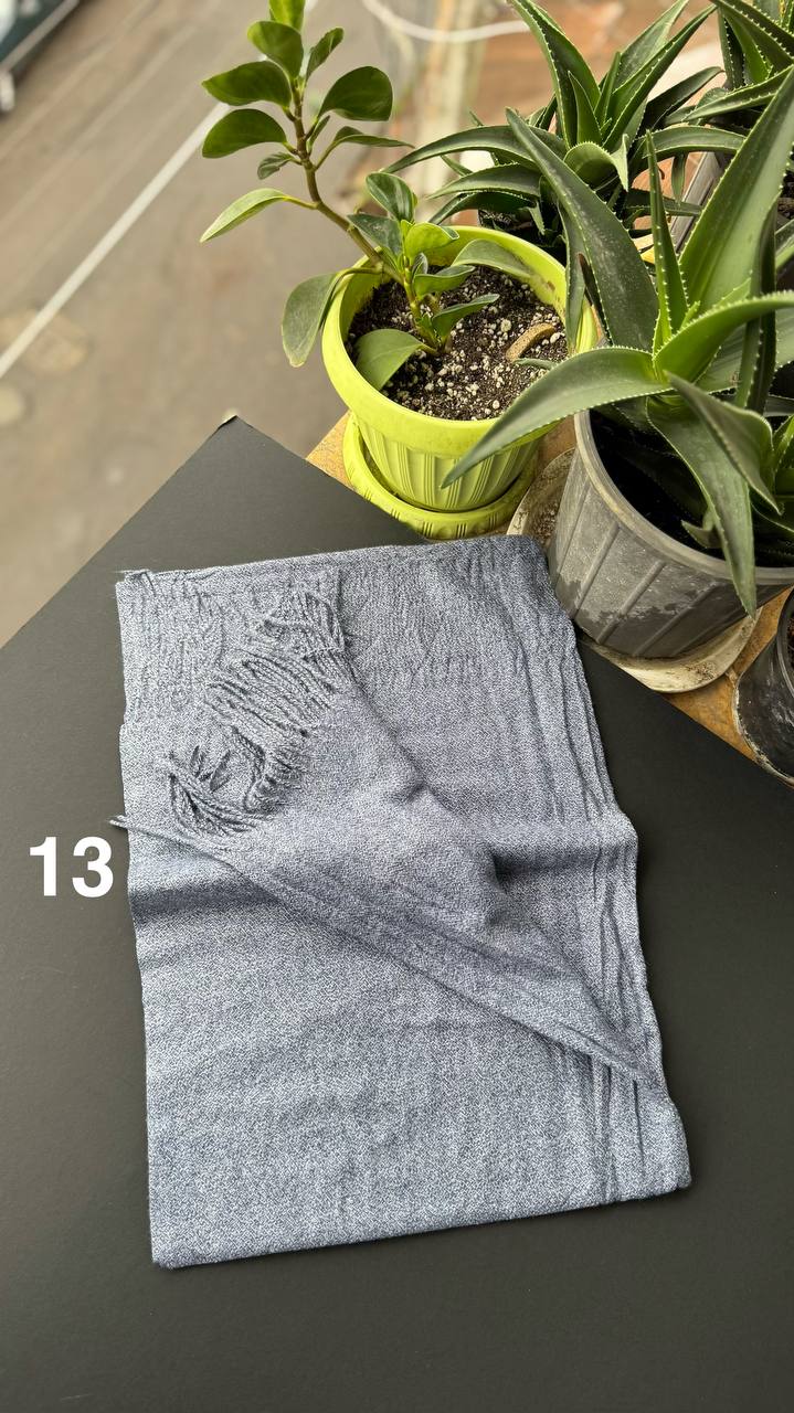 photo_15_2025-09-28_18-01-12