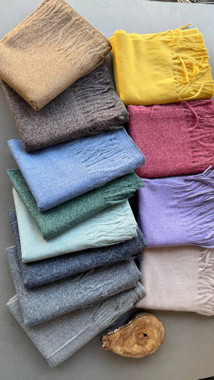 photo_17_2024-11-24_11-23-54