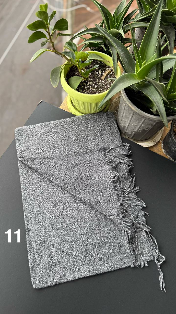 photo_17_2025-09-28_18-01-12