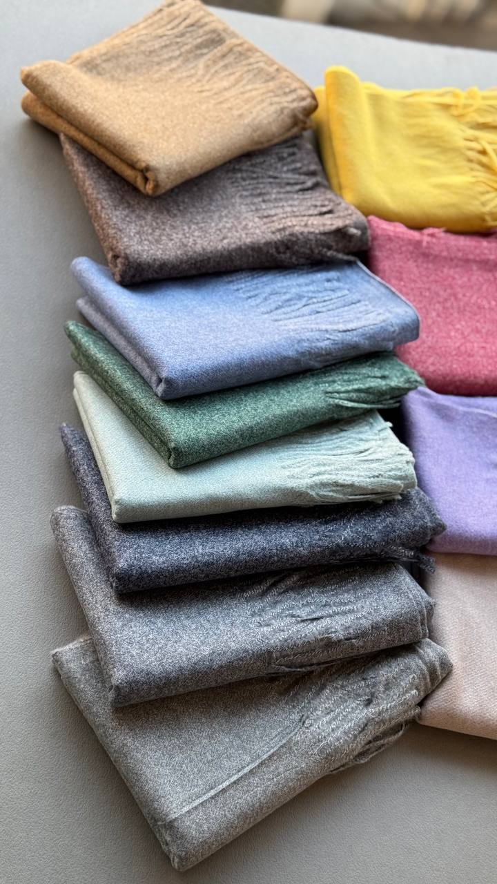 photo_18_2024-11-24_11-23-54