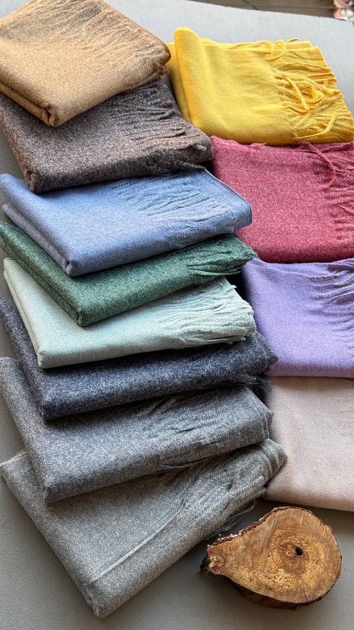 photo_19_2024-11-24_11-23-54