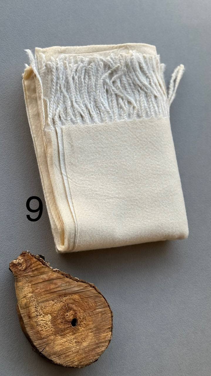 photo_19_2024-11-24_12-15-33