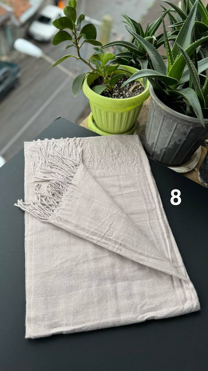 photo_19_2025-09-28_18-01-12