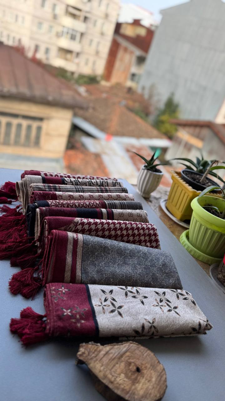 photo_1_2024-11-21_11-09-22