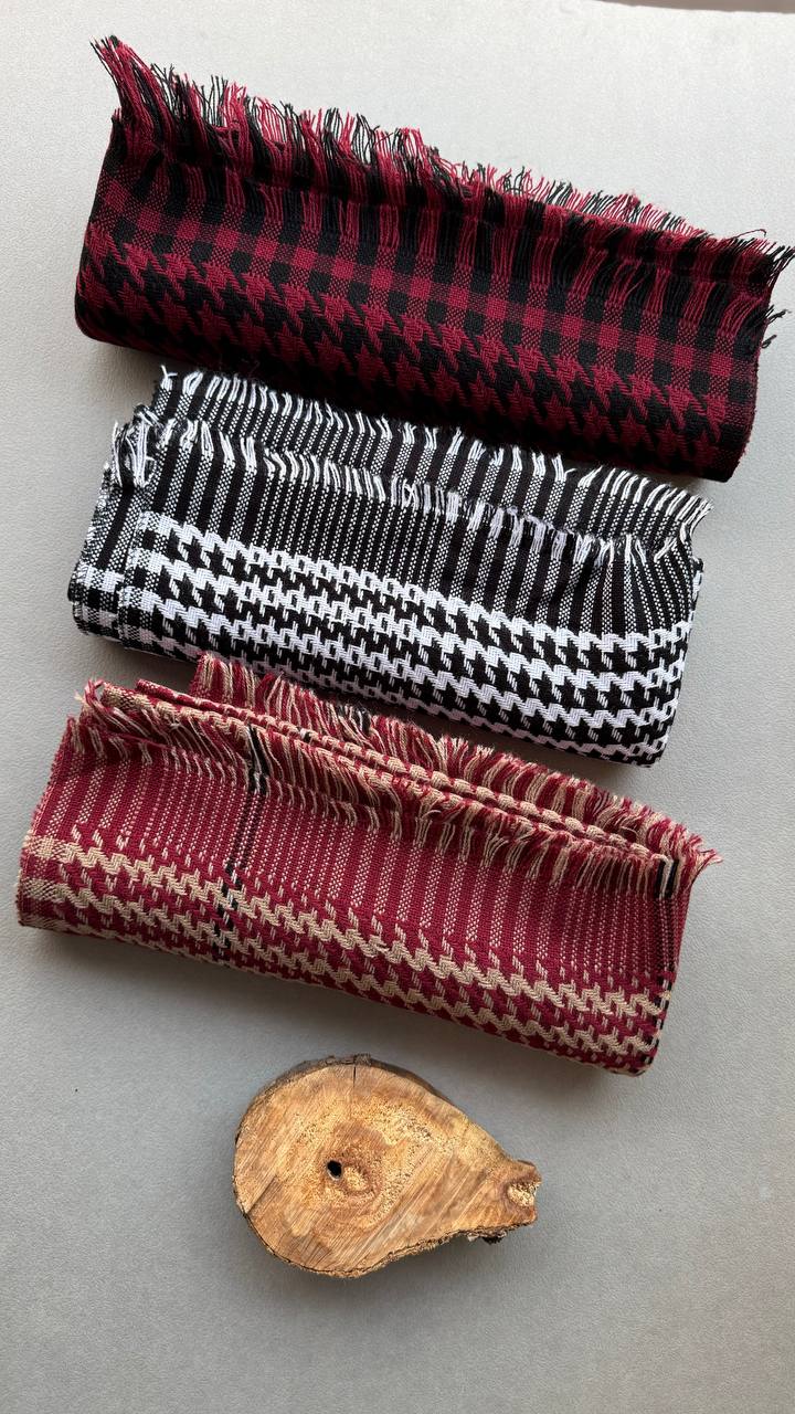 photo_1_2024-11-24_11-12-11