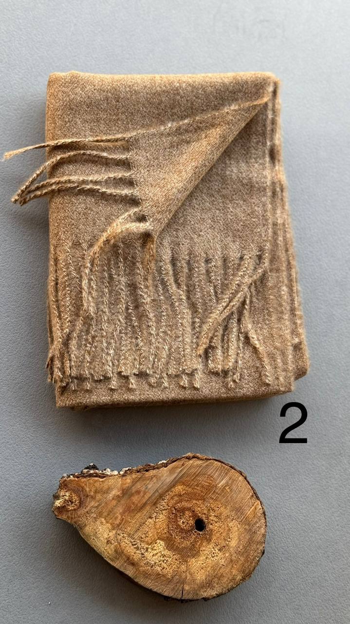 photo_1_2024-11-24_11-23-53