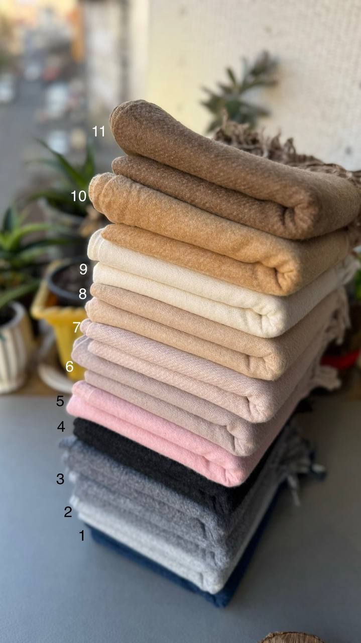 photo_1_2024-11-24_12-15-33