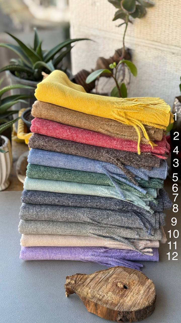 photo_1_2024-12-11_10-49-25