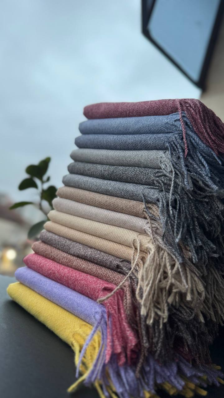 photo_1_2025-09-28_18-01-12