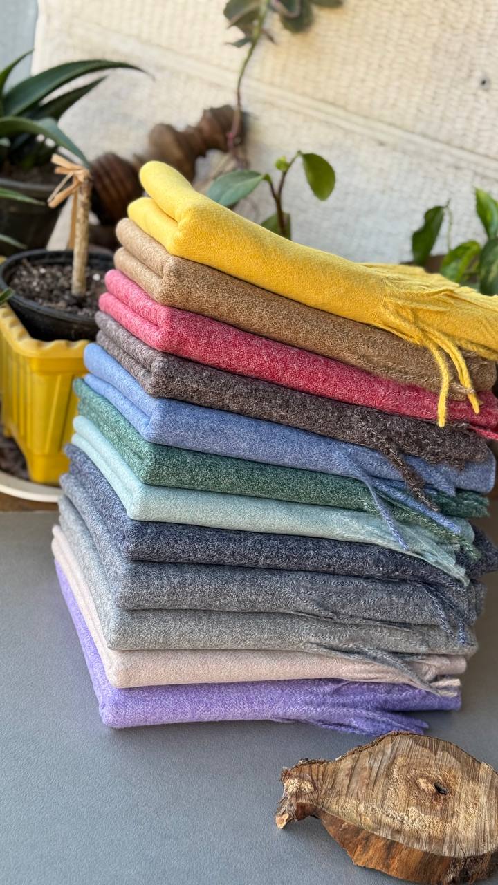 photo_20_2024-11-24_11-23-54