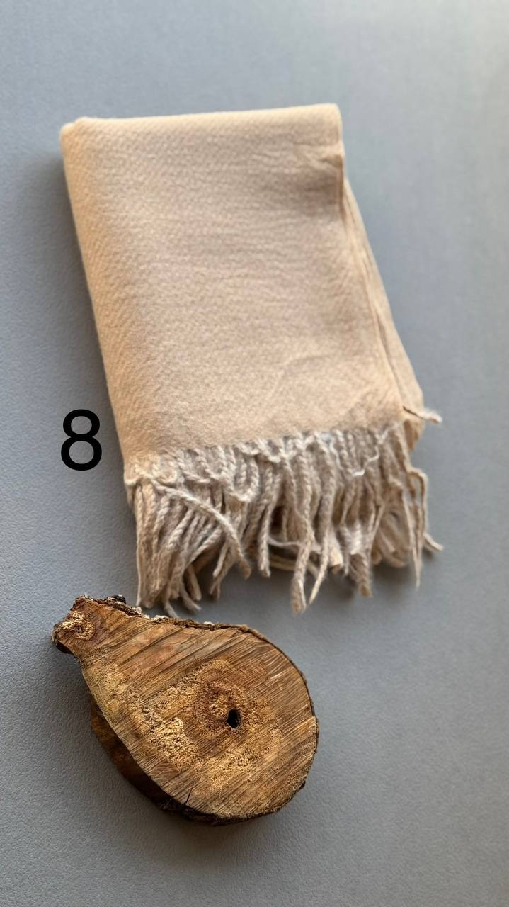 photo_20_2024-11-24_12-15-33