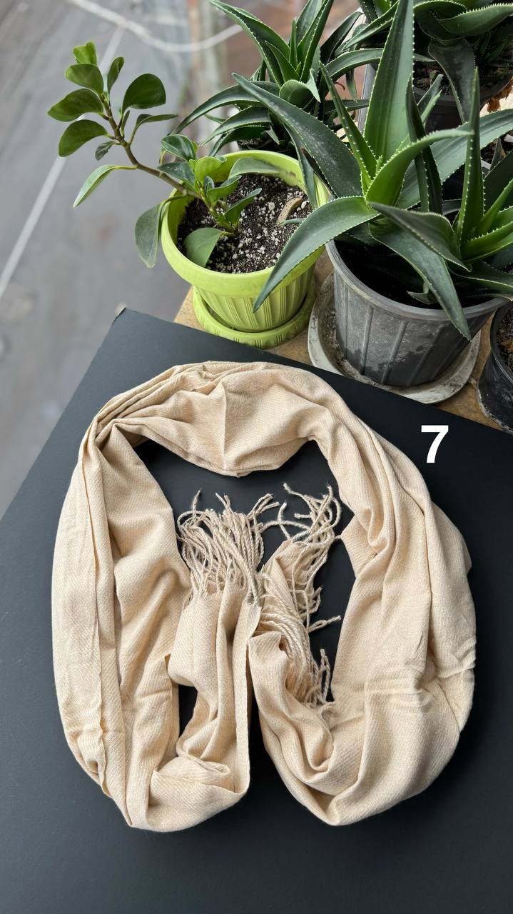 photo_20_2025-09-28_18-01-12