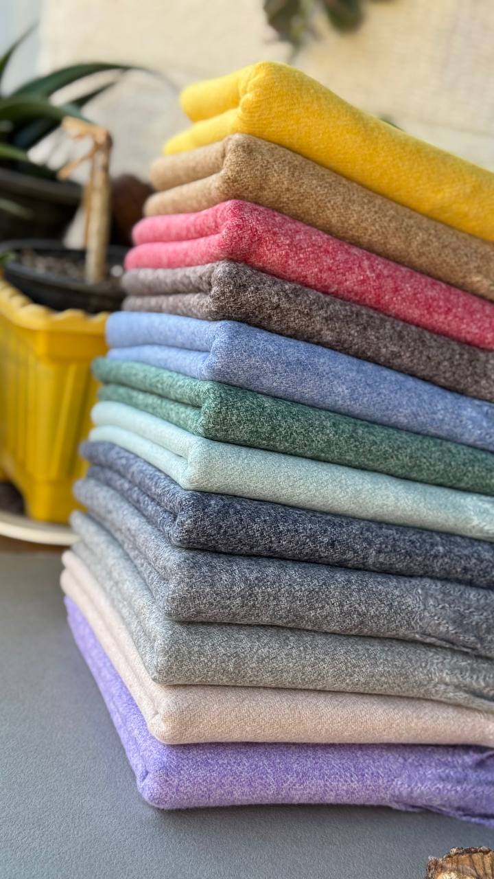 photo_21_2024-11-24_11-23-54