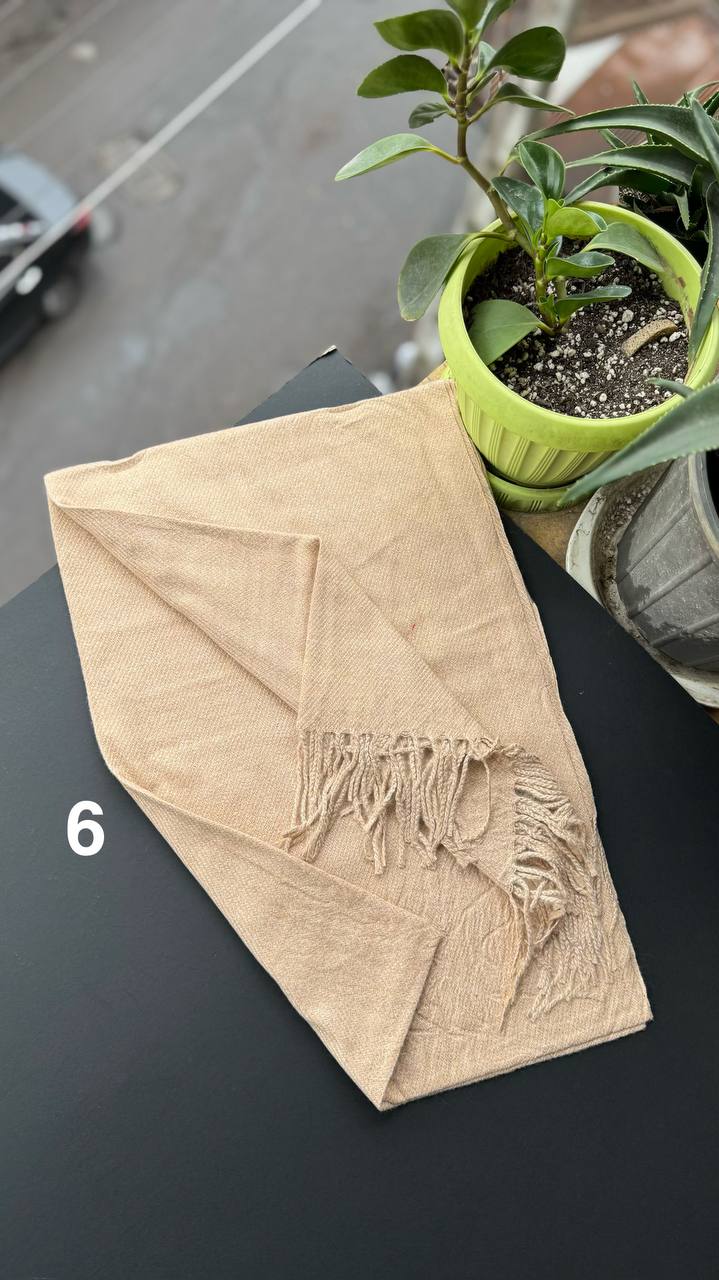 photo_21_2025-09-28_18-01-12