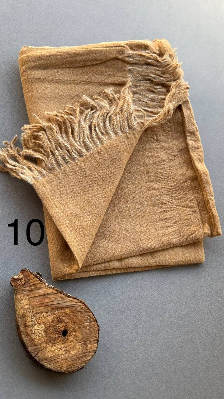 photo_22_2024-11-24_12-15-33